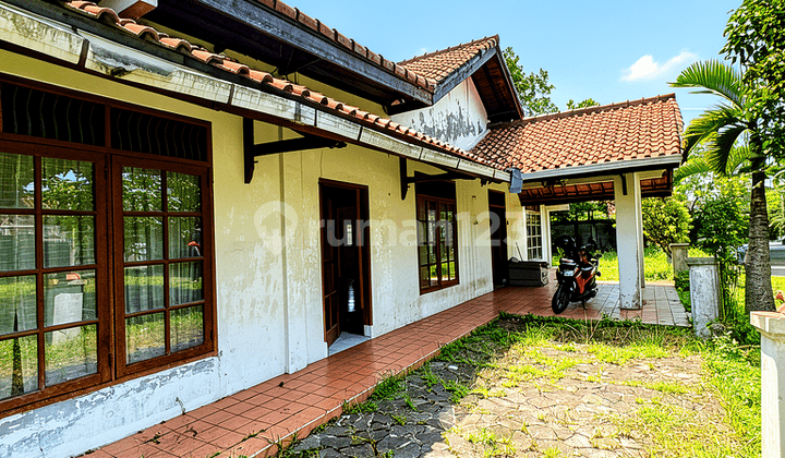 Villa + Lahan Luas di Parung - Hunian Sejuk Sekaligus Kebun Impian