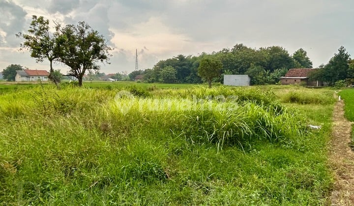 Dijual Tanah Bekas Sawah di Kedawung Cirebon