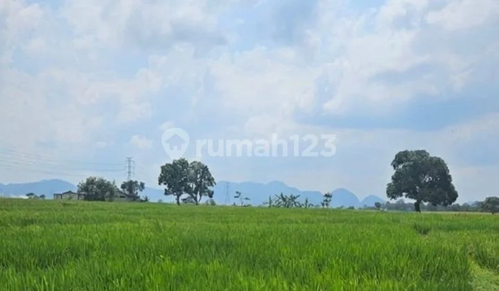 Commercial Plot in the Sumber-Majalengka Corridor, Cirebon