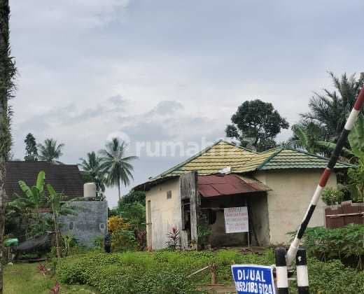 Shm Land Paniki Atas