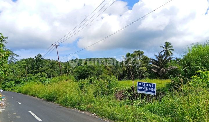 Di Jual Tanah di Kima Atas