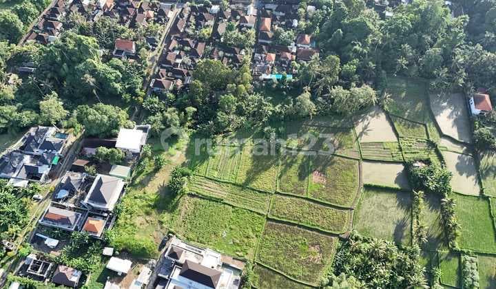 Tanah Kavling View Alam Di Sentral Ubud Dekat Pison
