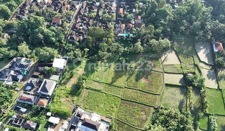 Tanah Kavling View Alam Di Sentral Ubud Dekat Pison