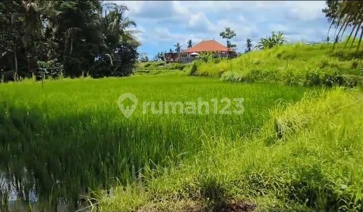 Flat Land with River View and Rice Fields in Pejeng Kangin, Ubud