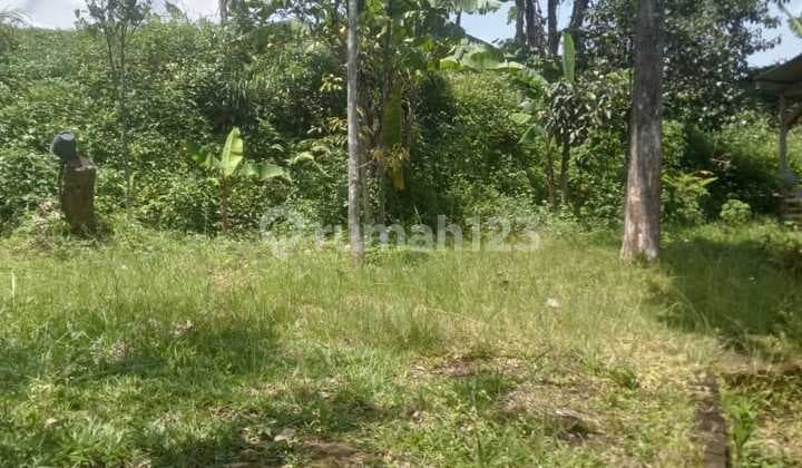 Murah Tanah Bonus Rumah Balong Masuk Gang Cipageran Cimahi