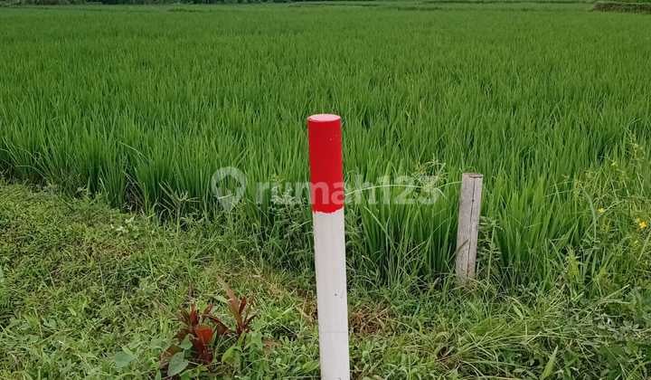 Tanah Pinggir Jalan Provinsi Rancagoong Cianjur Dekat Jl Raya Sukabumi