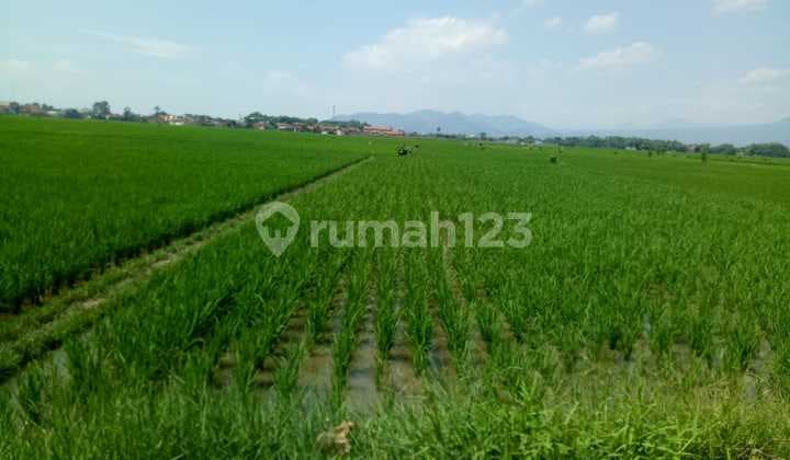 Tanah Sawah Dijual Luas Strategis di Area Katapang 32
