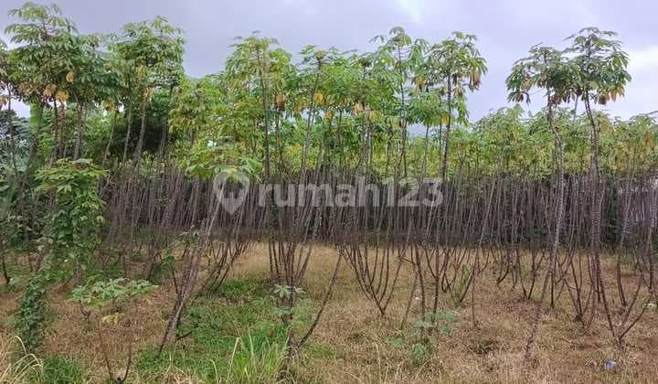 Dijual Murah Tanah di Bogor Cocok untuk Tempat Wisata, Cafe Dll