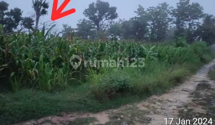 Lahan Istimewa Zona Industri Siap Pakai Strategis di Boyolali