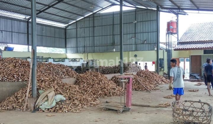 Strategic Ready-to-Operate Tapioca Flour Factory in Pati Tayu