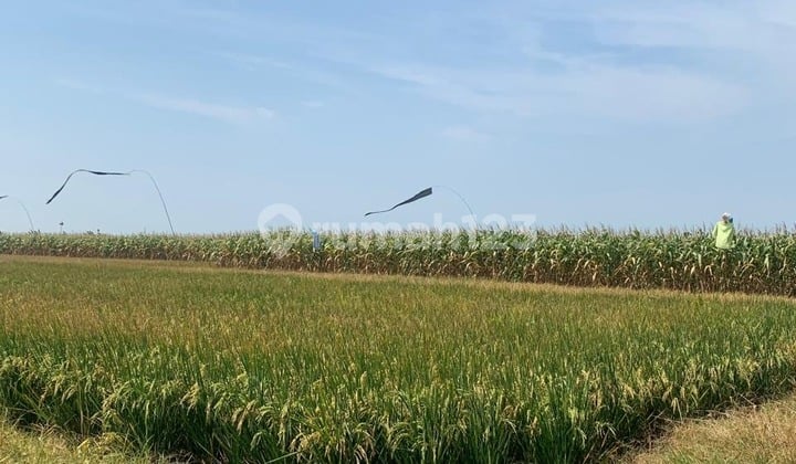 Tahan Zona Industri Siap Pakai Stratgeis di Kendal