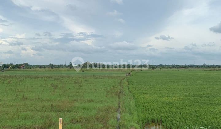 Strategic Large Land on Purwodadi Street, Semarang