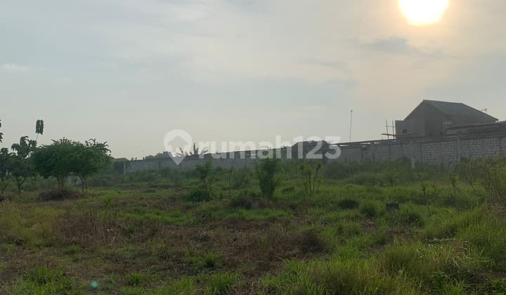 Lahan Luas Premium Siap Pakai Zona Kuning di Kota Pati