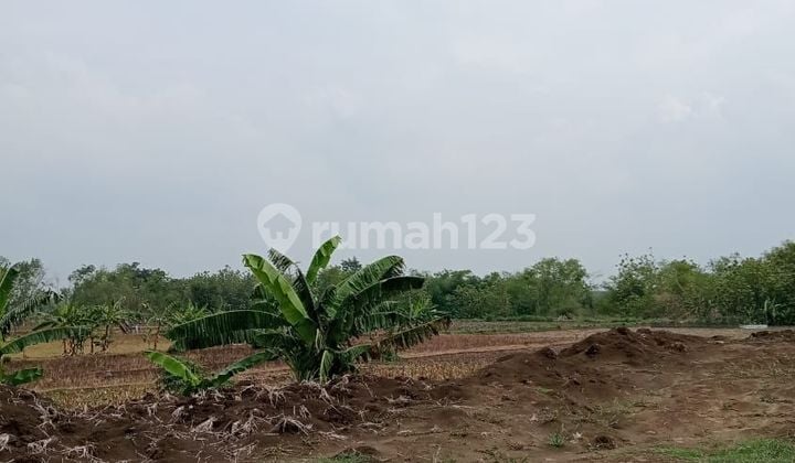 Strategic Land on the Side of the Main Road in Wonosari