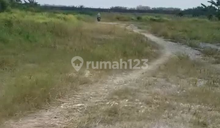 Extensive Strategic Industrial Zone Land in Karang Awen, Semarang Extensive Strategic Industrial Zone Land in Karang Awen, Semarang