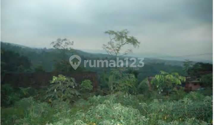 Dijual Tanah Desa Gunung Malang, Kec Tenjolaya, Kabupaten Bogor, ± 5 km dari Terminal Ciapus