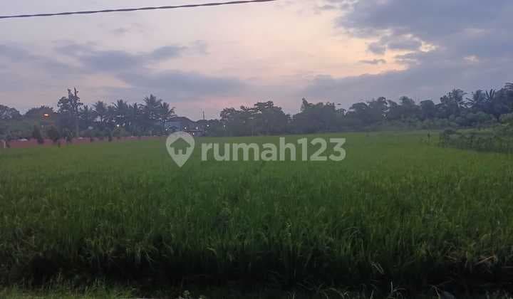 dijual tanah sawah di daerah kalimanah purbalingga