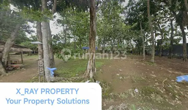 land for sale with asphalt road access in Sumbang