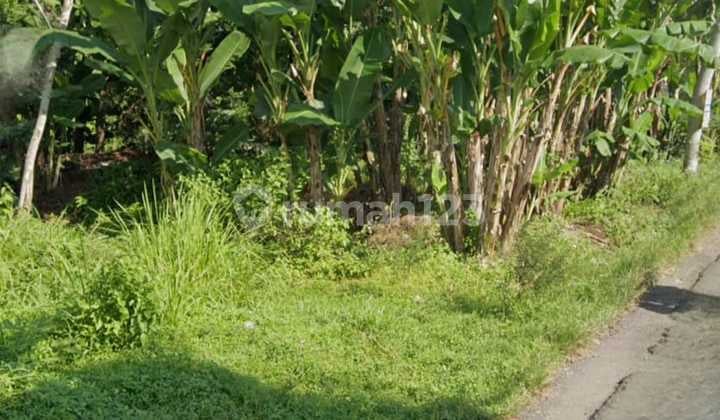 dijual tanah strategis di daerah berkoh Purwokerto