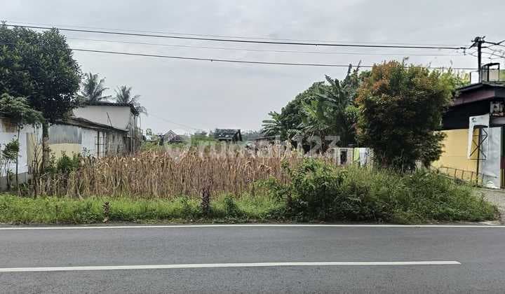 Land for Sale with Car Access in Sumbang, Banyumas