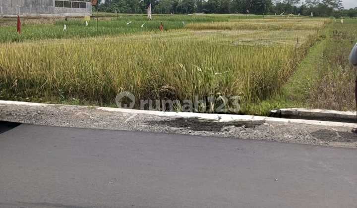 Land for Sale in Kembaran Area, Banyumas