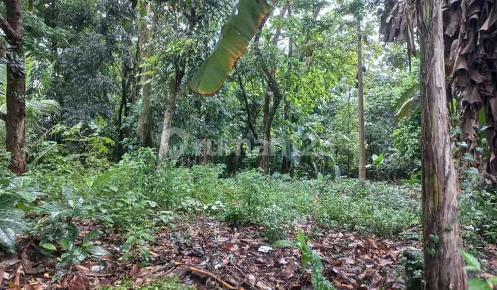 Dijual Tanah Akses Motor di Purwokerto