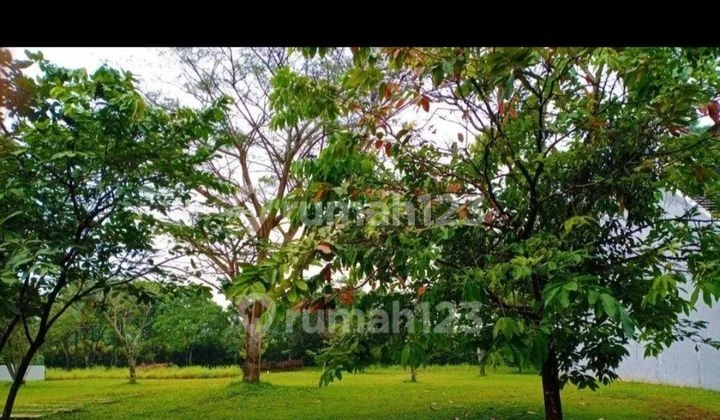 Affordable and Spacious Lots in The Avani Cluster Lavanya Ammarila BSD Affordable and Spacious Lots in The Avani Cluster Lavanya Ammarila BSD