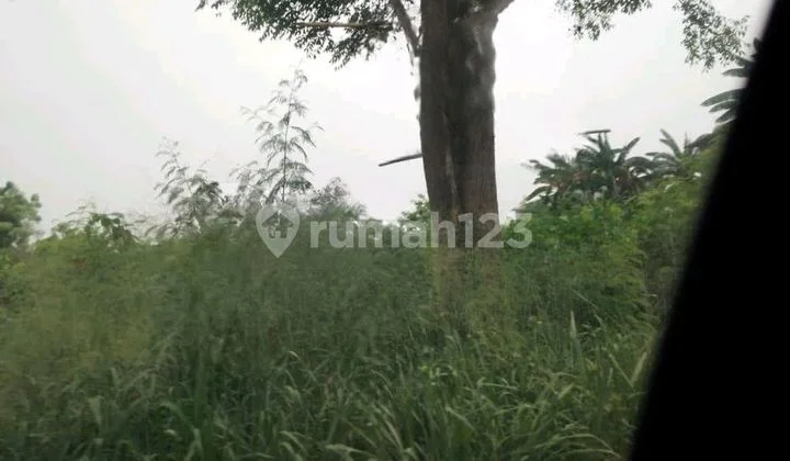 For Sale Land in Bayur 16,500m2 Lot Sepatan Tangerang For Sale Land in Bayur 16,500m2 Lot Sepatan Tangerang