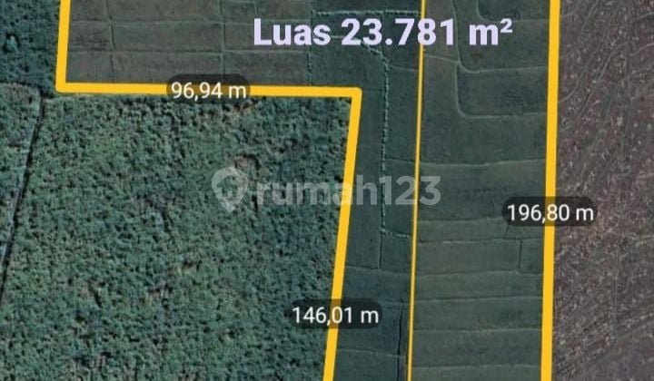 Dijual Tanah Sawah Peruntukan Gudang Dan Komersial Di Pinggir Jalan Propinsi Di NGAWI