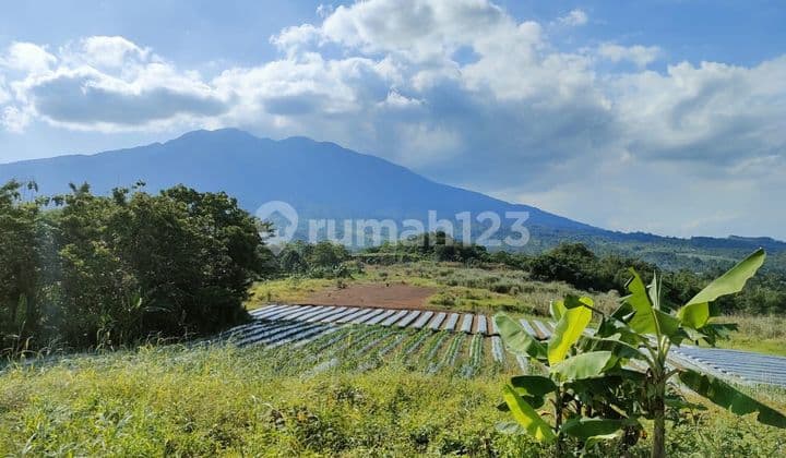 Tanah Dengan View Pegunungan Di Cicurug Sukabumi Jawa Barat
