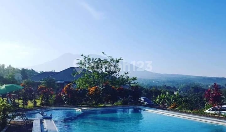 ******** Di Mega Mendung ********