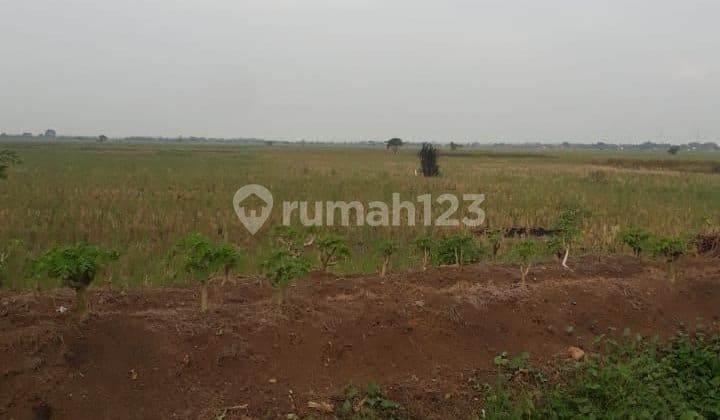 Tanah Potensual Untuk Perumahan Di Tambelang Bekasi
