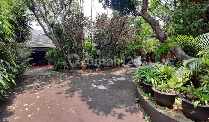 Di Jual Rumah Di Area Patal Senayan Kebayoran Lama