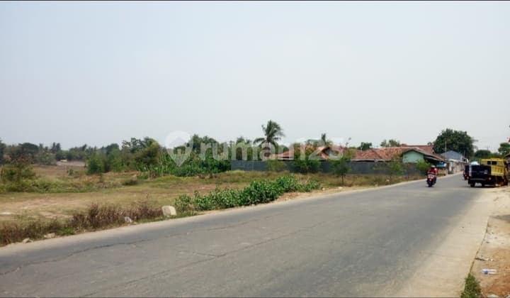 Dijual Tanah Untuk Perumaham Di Jalan.raya.kronjo Balaraja Tangerang