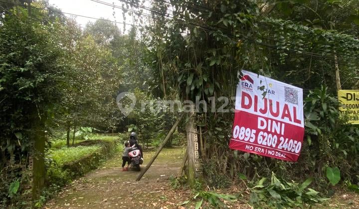 Dijual Tanah Pinggir Jalan Angkot Sukajaya Tamansari Ciapus