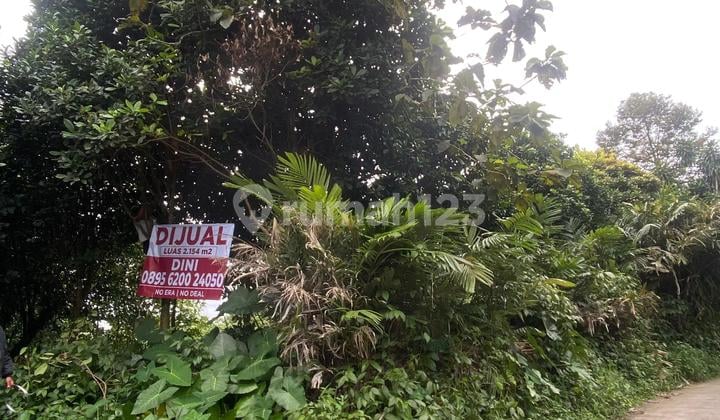 Dijual Tanahcocok untuk Perumahan atau Invest Sukaluyu Tamansari Ciapus