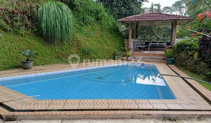For Sale: Cisarua Villa, Bustling Puncak Area, Affordable, Swimming Pool