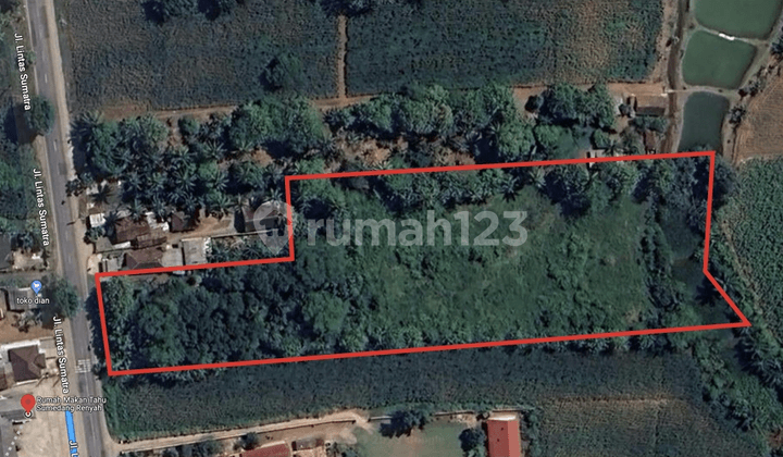 Dijual Atau Disewakan Tanah, Kabupaten Lampung Tengah