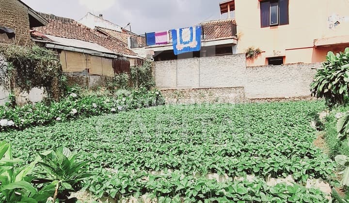 Tanah Mainroad Ciwidey cocok untuk Resto dan Penginapan