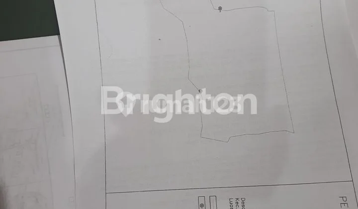 Tanah bagus dan subur Rancabungur Bogor Tanah bagus dan subur Rancabungur Bogor