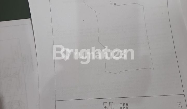 Tanah bagus dan subur Rancabungur Bogor