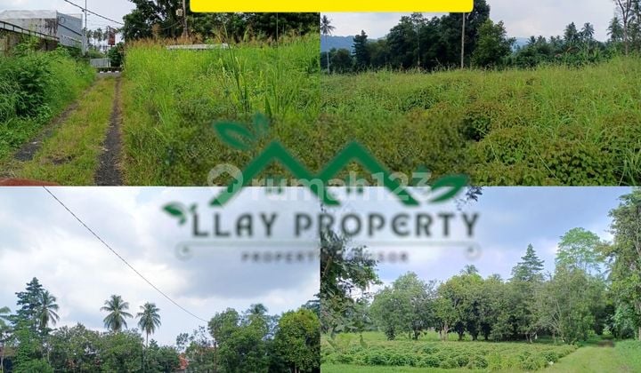 Tanah Pinggir Jalan Protokol, Strategis, Termurah Permeternya, Dijalan A.a. Maramis, 4km Dari Bandara Cocok Buat Perumahan Dll, Daerah Bisnis, Area Berkembang Pesat, Fast Investasi.