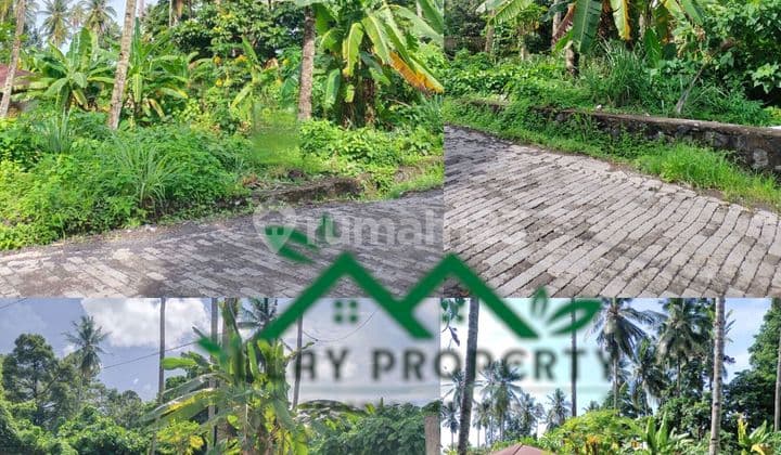 Tanah Di Jalan Raya Dekat Kampus Iakn Tateli, Dekat Lombart Park , Cocok Buat Kost2an
