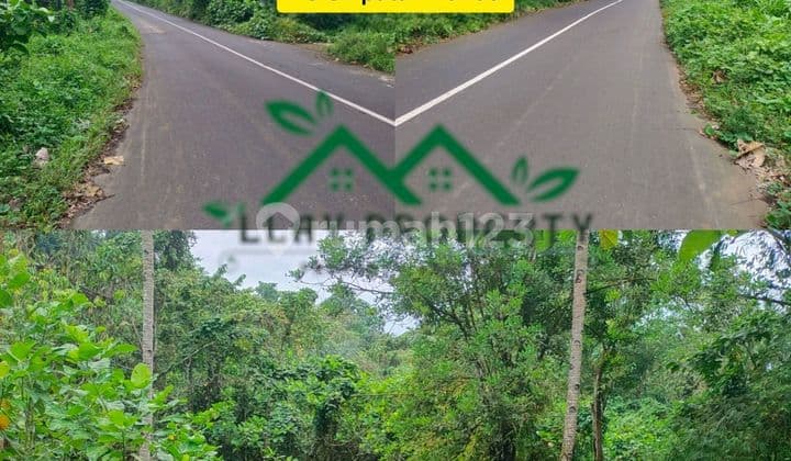 Tanah 2,6 Ha Di Pinggir Jalan Raya Pandu, Cocok Buat Perumahan, Gudang, Bisa Cointainer Lewat Di Mapanget