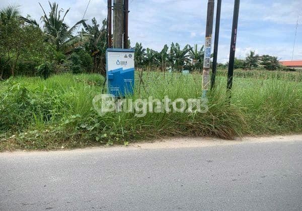 Jual Tanah 5376 Kualanamu