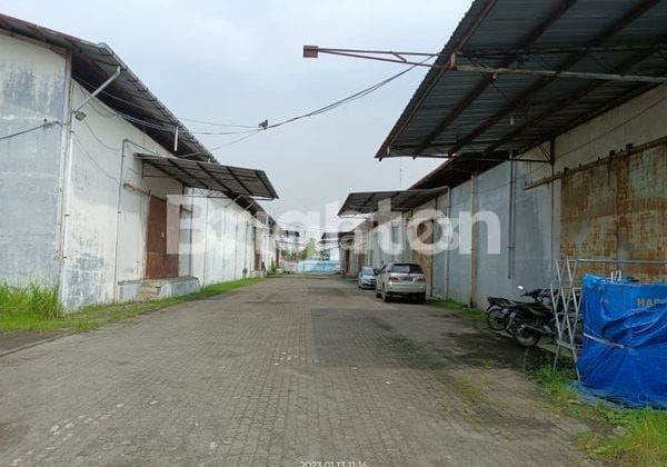 Gudang Kayu Putih 10000 m