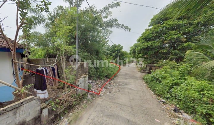 Dijual Murah Tanah Kosong di Daerah Desa Bagu, Lombok Tengah