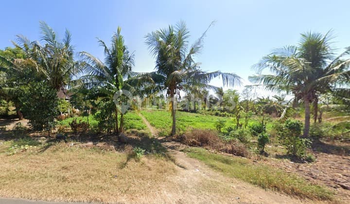 Dijual Murah Tanah Kosong di Daerah Belanting, Lombok Timur