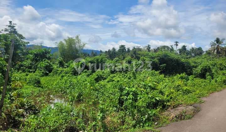 Dijual Tanah Kosong Dengan Harga Murah