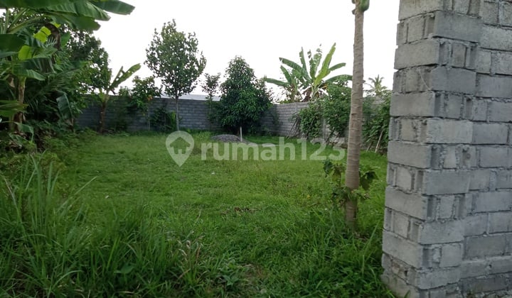 Dijual Murah Tanah Kosong di Daerah Batu Kuta, Lombok Barat